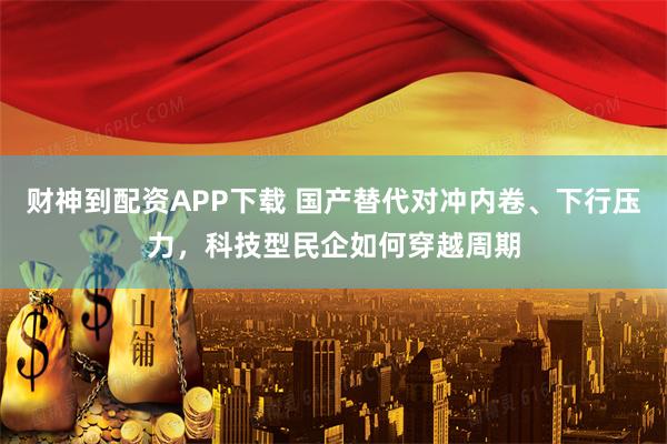 财神到配资APP下载 国产替代对冲内卷、下行压力，科技型民企如何穿越周期
